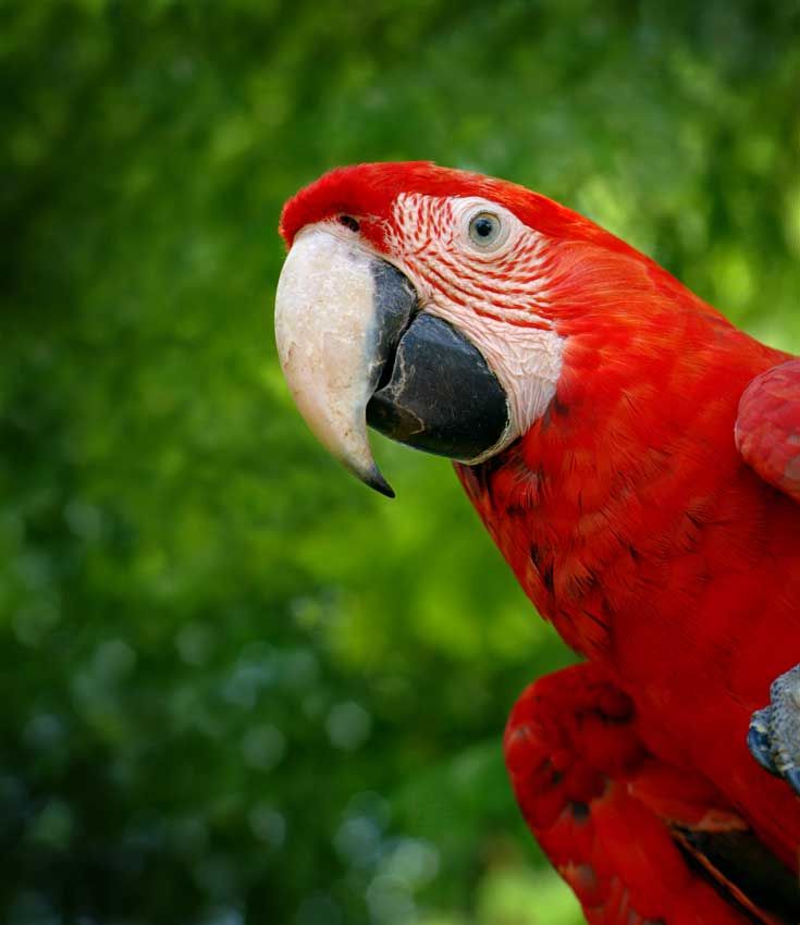 Oceano Hotel and Residence Naturally Jacó A photo journey to the